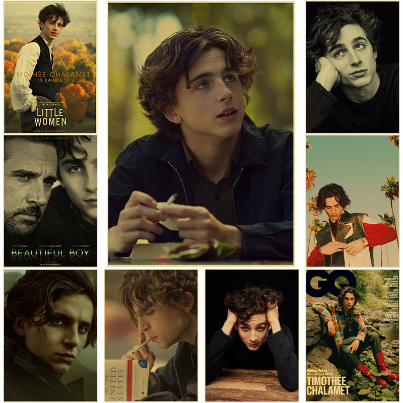 Home Bar And Theater - Timothe Chalamet lukisan kanvas Retro Poster